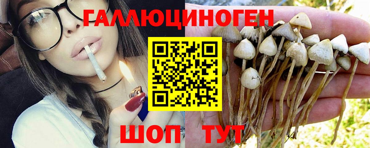 Галлюциногенные грибы прущие грибы Апатиты
