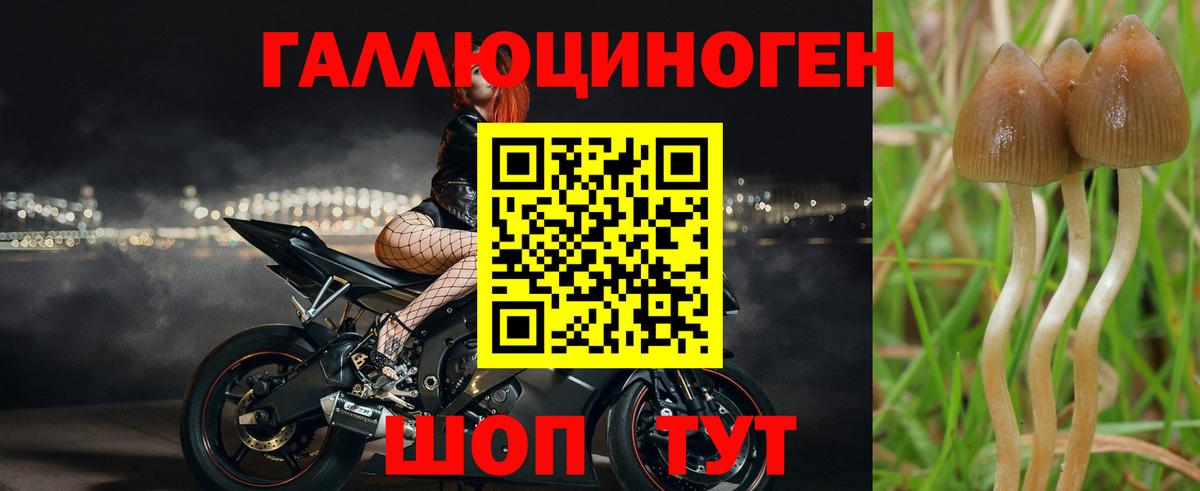Псилоцибиновые грибы ЛСД  Вход с VPN  Апатиты 